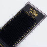 Midnight Whisper Lashes